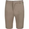 Regatta Short SANDROS Homme (Beige Foncé)