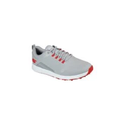 Skechers Elite 4 Victory Gris Hommes